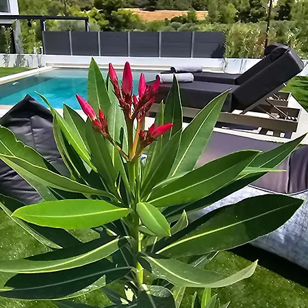 ヴィラ Topaz - Halkidiki ペフコホリ