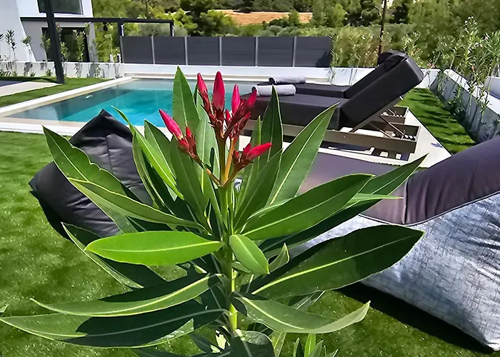 Villa Topaz - Halkidiki Pefkochori